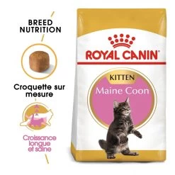 Royal Canin Maine Coon Chaton Pour Chat 10kg 11 Royal Canin Maine Coon Chaton Pour Chat 10kg -Royal Canin royal canin maine coon kitten maine coon kitten 1