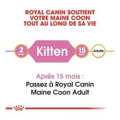 Royal Canin Maine Coon Chaton Pour Chat 10kg 14 Royal Canin Maine Coon Chaton Pour Chat 10kg -Royal Canin royal canin maine coon kitten maine coon kitten 4