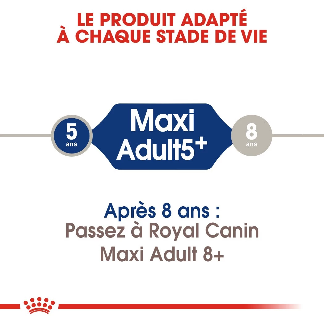 Royal Canin Maxi Adult 5+ Pour Chien 4kg 5 Royal Canin Maxi Adult 5+ Pour Chien 4kg – Image 3