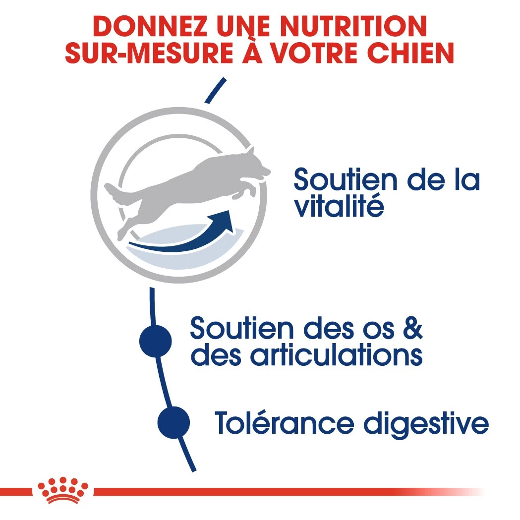 Royal Canin Maxi Adult 5+ Pour Chien 4kg 6 Royal Canin Maxi Adult 5+ Pour Chien 4kg – Image 4