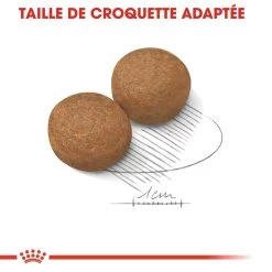 Royal Canin Maxi Adult Pour Chien 15kg 11 Royal Canin Maxi Adult Pour Chien 15kg -Royal Canin royal canin maxi adult croquettes pour chien maxi adult 3
