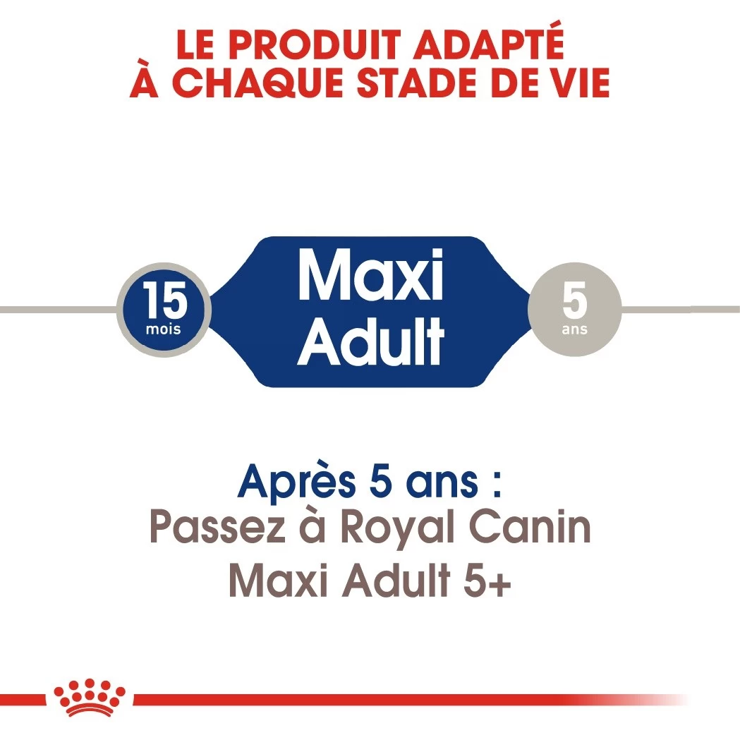 Royal Canin Maxi Adult Pour Chien 15kg 7 Royal Canin Maxi Adult Pour Chien 15kg – Image 5