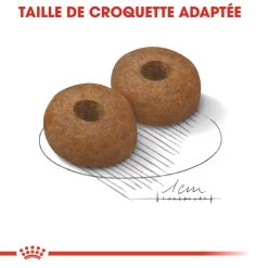 Royal Canin Maxi Ageing 8+ Pour Chien 15kg -Royal Canin royal canin maxi ageing croquettes pour chien maxi ageing 2