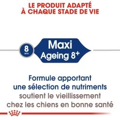 Royal Canin Maxi Ageing 8+ Pour Chien 15kg -Royal Canin royal canin maxi ageing croquettes pour chien maxi ageing 3
