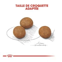 Royal Canin Maxi Chiot Pour Chien 4kg 7 Royal Canin Maxi Chiot Pour Chien 4kg -Royal Canin royal canin maxi puppy croquettes pour chiot maxi puppy 3 1