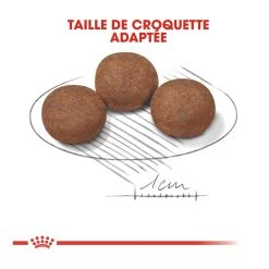 Royal Canin Medium Junior Pour Chien 11 Royal Canin Medium Junior Pour Chien -Royal Canin royal canin medium puppy croquettes pour chiot medium puppy 4 1