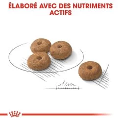 Royal Canin Sterilised Mini Adult Pour Chien 8kg -Royal Canin royal canin mini sterilised croquettes pour chien mini sterilised 2 2