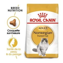 Royal Canin Chat Norvégien Adult 10kg -Royal Canin royal canin norvegien adult norvegien 1