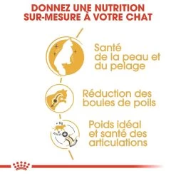 Royal Canin Chat Norvégien Adult 10kg -Royal Canin royal canin norvegien adult norvegien 2