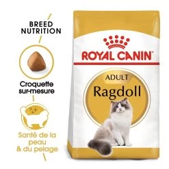 Royal Canin Ragdoll Adult Pour Chat 10kg -Royal Canin royal canin ragdoll adult ragdoll 1 1