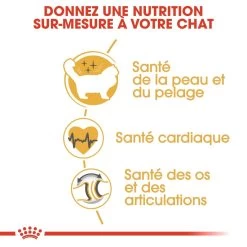 Royal Canin Ragdoll Adult Pour Chat 10kg -Royal Canin royal canin ragdoll adult ragdoll 2 1