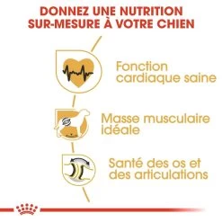 Royal Canin Rottweiler Adult Pour Chien 12kg -Royal Canin royal canin rottweiler adult rottweiler 2