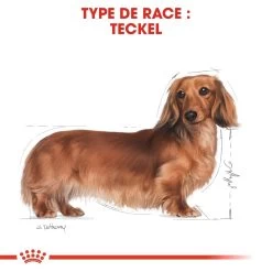 Royal Canin Teckel Adult Pour Chien 7,5kg 11 Royal Canin Teckel Adult Pour Chien 7,5kg -Royal Canin royal canin teckel adult dachshund teckel dachshund 3